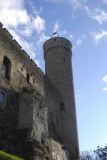 20081102_121218DSC_6046