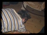IMG_4550