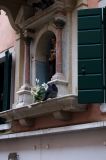 venice2008-04-0810-12-17